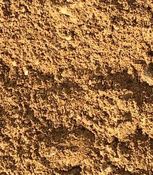 Schubkarre mit Grünschnitt