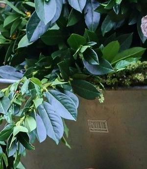 Bagger beim Erdaushub